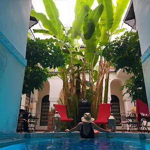 Aloes & (adults Only) Marrakesh